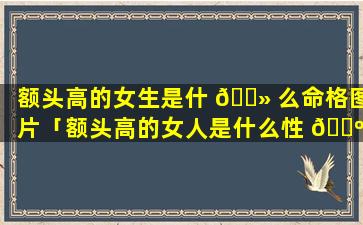 额头高的女生是什 🌻 么命格图片「额头高的女人是什么性 🐺 格」